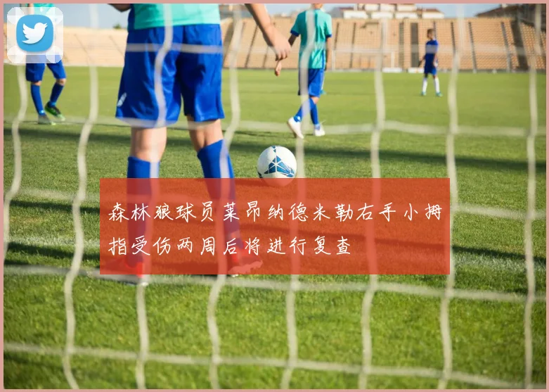 森林狼球员莱昂纳德米勒右手小拇指受伤两周后将进行复查