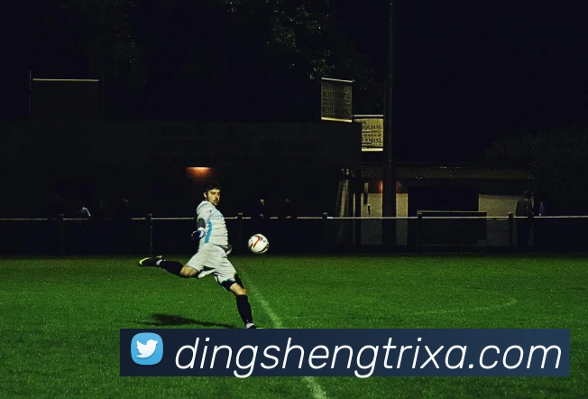 顶盛体育品牌故事